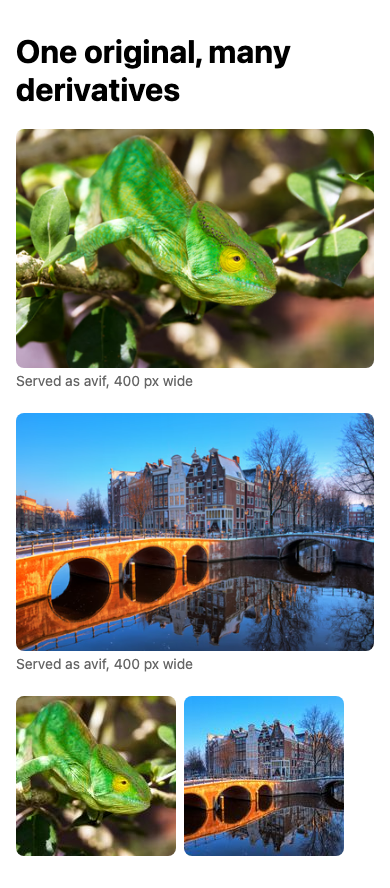The gallery page on a phone: each photo captioned with the derivative the browser chose, served as AVIF at 400 pixels wide