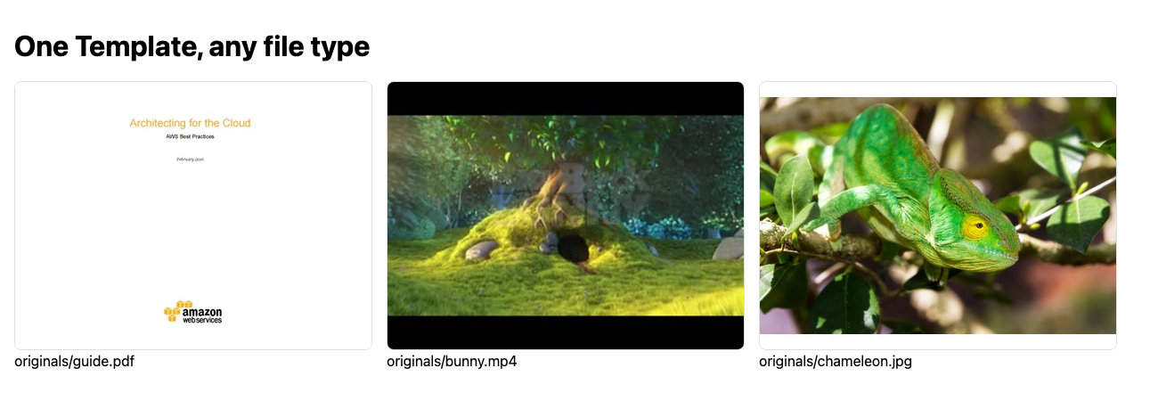 The previews page: the first page of the PDF, a frame from the video, and the photo, all rendered by the built-in preview Template