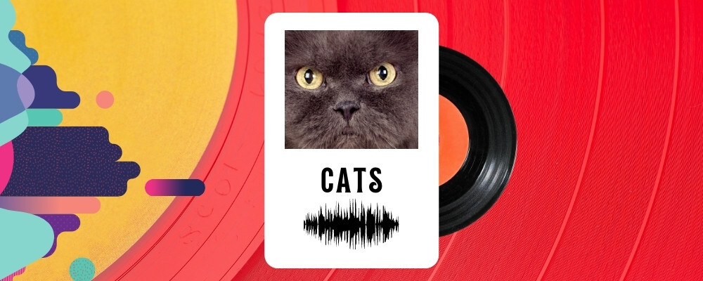 An abstract red vinyl record background, with a music card in the foreground with a picture of a cat closeup as the album art.