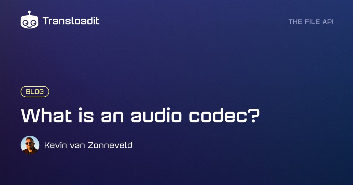 An abstract waveform around the text “What is an audio codec?”