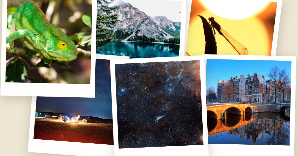 Six photos arranged as a polaroid-stack collage on a warm beige canvas.